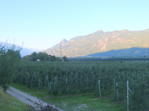 Apple Orchard Country.